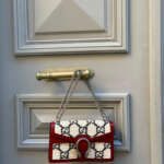 Gucci GG Tweed Dionysus Romantic Cherry - Image 2