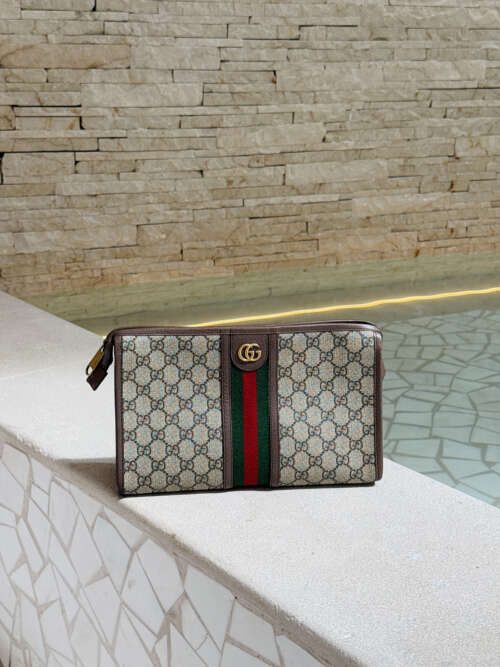 Gucci Ophidia Pouch